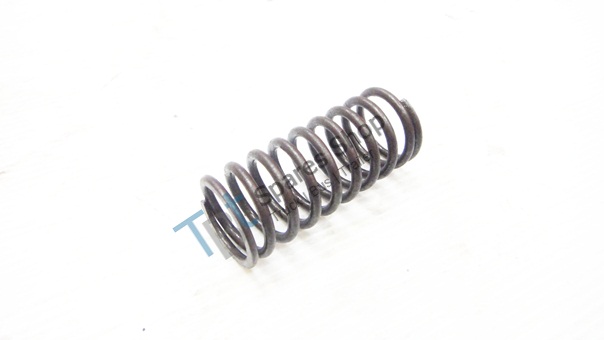 valve spring (small) - 468066