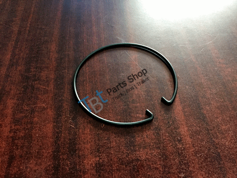 hub cap clip (front) - 1531529 TW