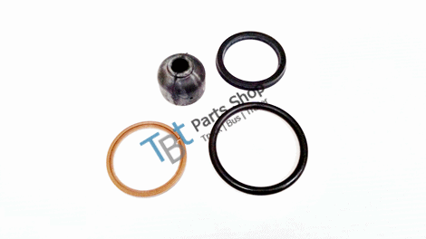 throttle cylinder repair kit - 1695959